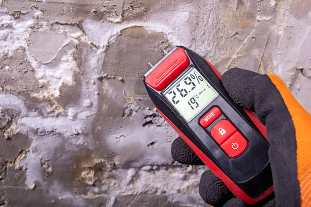 Crawl Space Mold Removal in Florida, NY