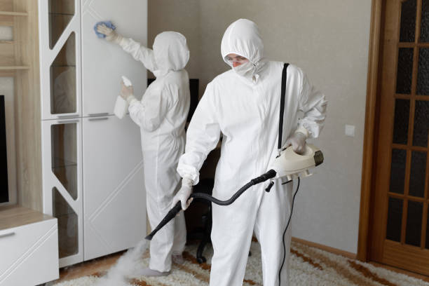 Mold Testing and Removal in Florida, NY